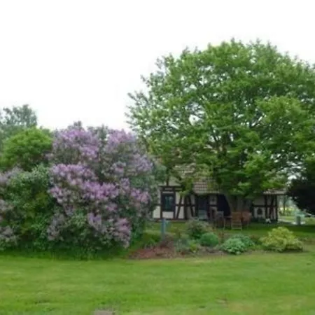 Apartment Grosse In Mit Pool, Garten Und Grill Sehlen